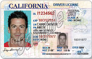 california notary id requirement sample